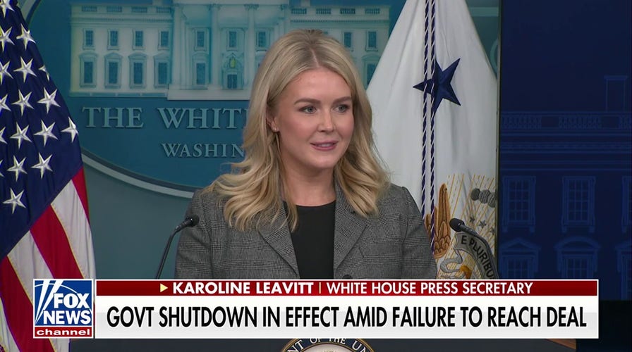Karoline Leavitt warns mass firings of federal workers could begin within days