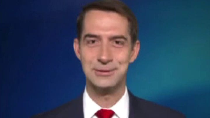 Sen. Cotton previews Amy Coney Barrett's first round of questioning in Senate