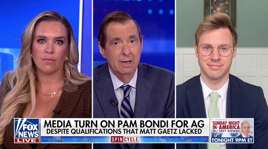 Being loyal to Trump ‘means something different’ than being a supporter, political strategist says