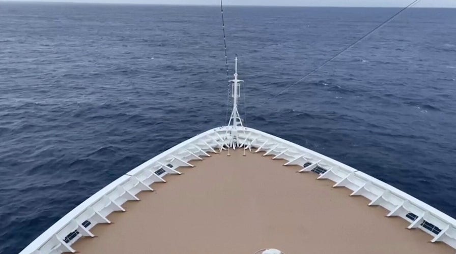 cruise ship fungus on hull