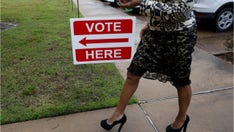 Georgia postpones presidential primaries over coronavirus fears