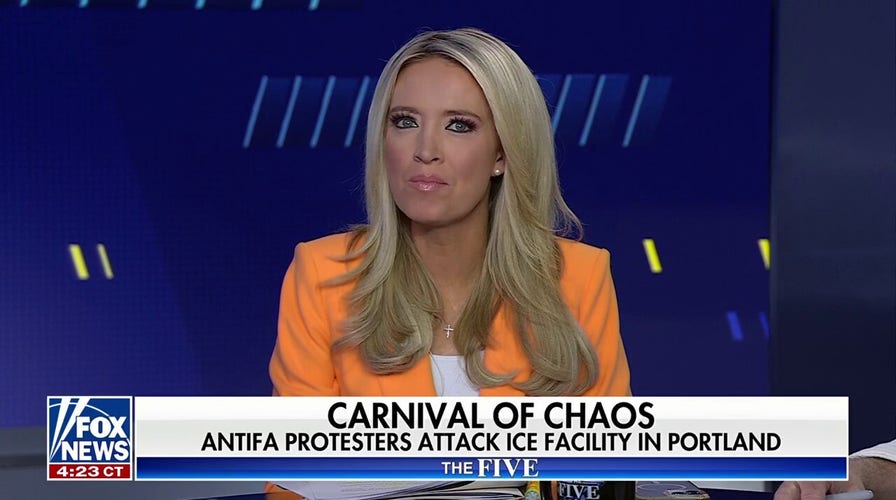 Kayleigh McEnany: Demonizing federal officers does not work