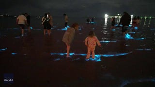 SEE IT! Ocean water glows in the dark - Fox News