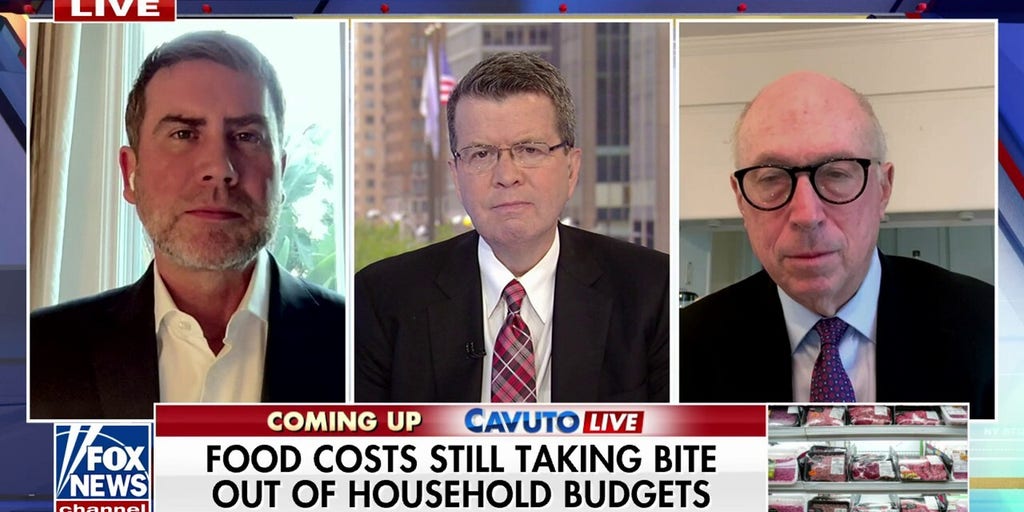 Saying Harris had taken a ‘substantial or commanding lead’ in 2024 race is an ‘overstatement’: Doug Schoen