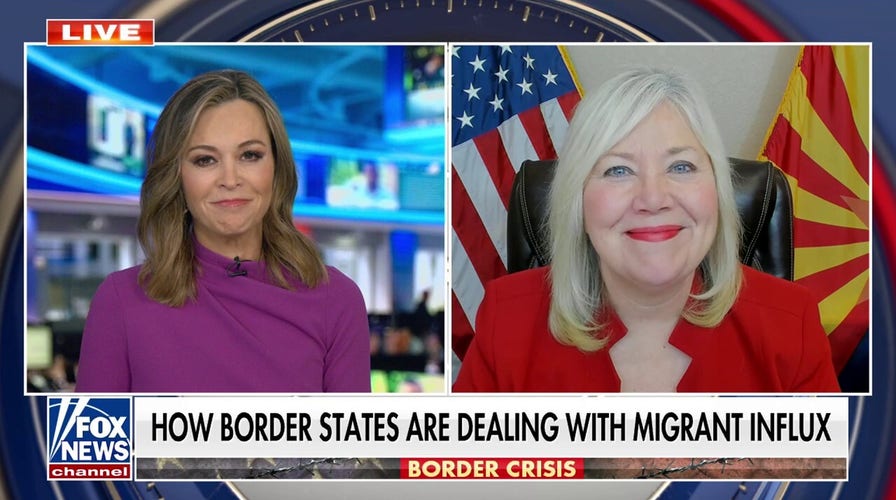 Border security is one of the ‘main reasons’ Americans voted for Trump, GOP rep says