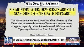Democrats reportedly drop millions to attract male voters