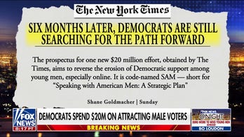 Democrats reportedly drop millions to attract male voters