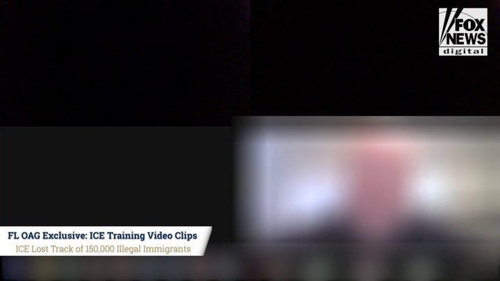 ICE training videos reveal agency lost track of 150K illegal migrants due to Biden admin's lack of processing