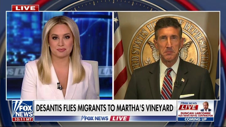 VP Harris needs to go look at the border for herself: Rep. Kustoff