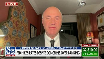 Kevin O'Leary: Never elect a politician that hasn't run a business and made payroll