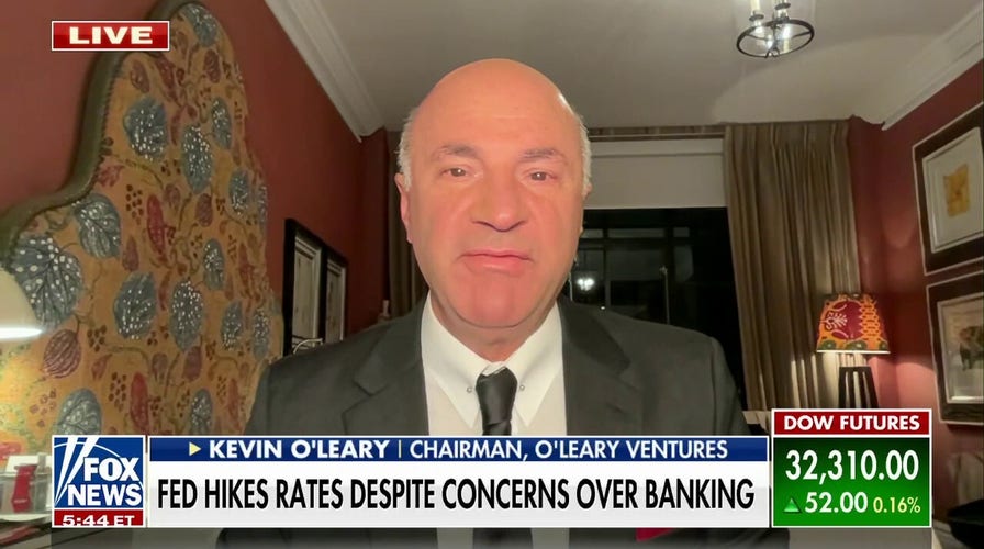 Kevin O'Leary: Never elect a politician that hasn't run a business and made payroll