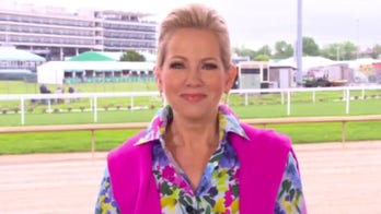 Supreme Court bullying could 'backfire' on Democrats: Bream