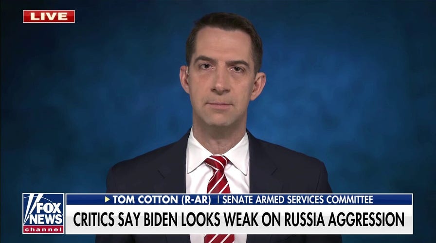 Biden's weakness contributed to the crisis in Eastern Europe: Sen. Cotton