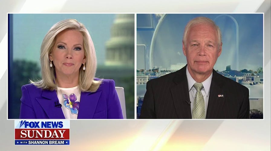 Secret Service, local police used different communication modes during Trump rally: Sen. Ron Johnson