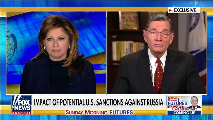 Sen. John Barrasso on Russia-Ukraine conflict: Putin views Biden as 'weak, ineffective'