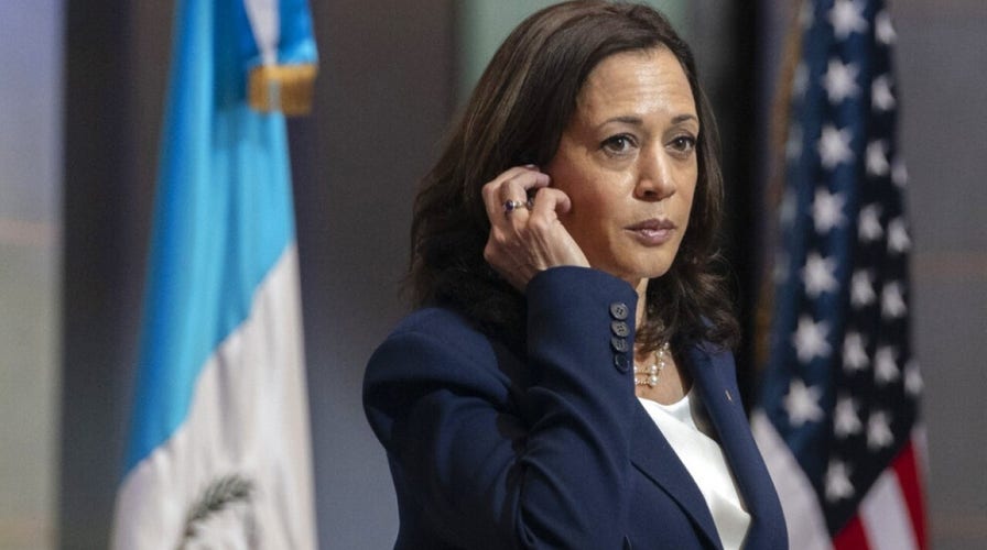 Ex-Kamala Harris aide gives interesting excuse for immigration interview