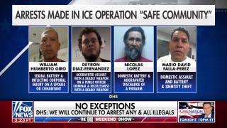 Reported ICE criminals-only guidance called a ‘miscommunication’ as DHS says ‘no one is off the table’