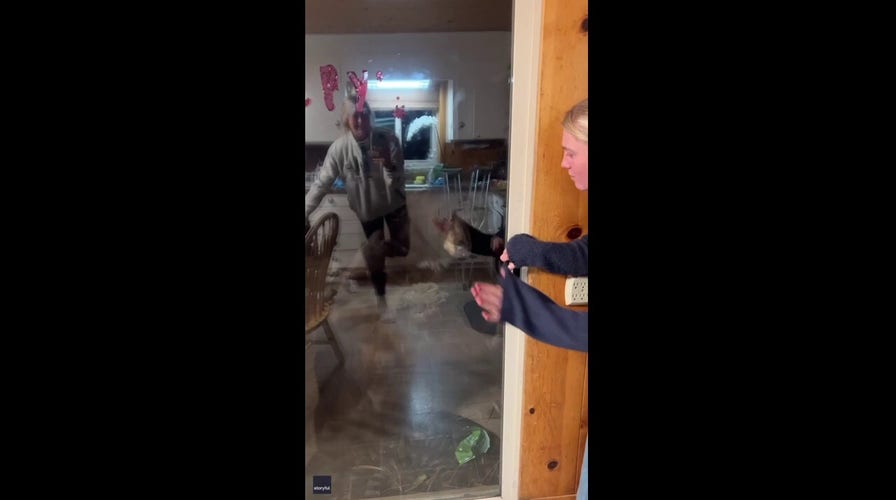 Bear attempts to enter home as residents try to scare the animal away