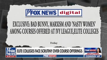 Ivy League schools face scrutiny over course offerings