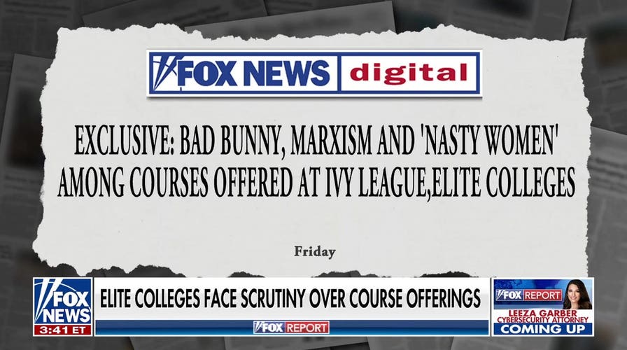 Ivy League schools face scrutiny over course offerings