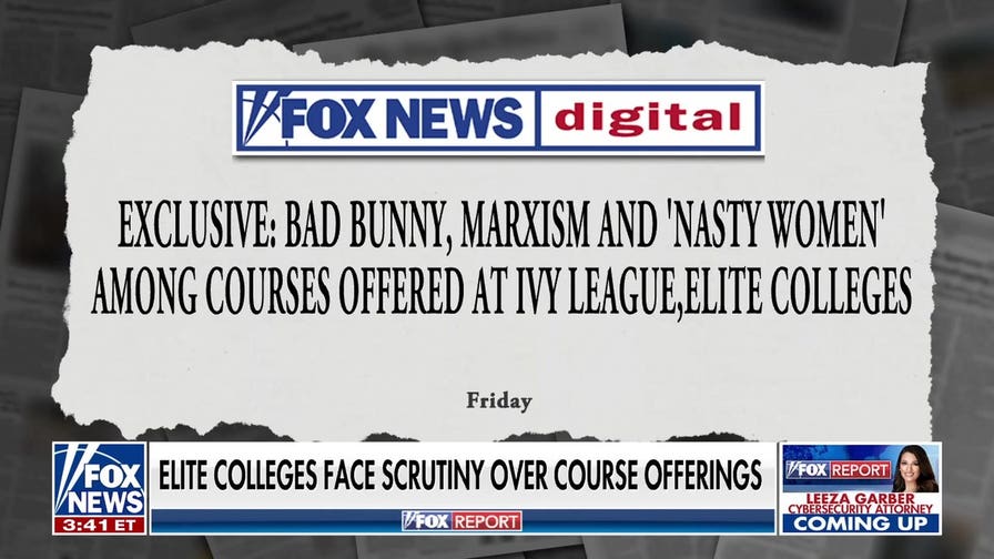 Ivy League schools face scrutiny over course offerings
