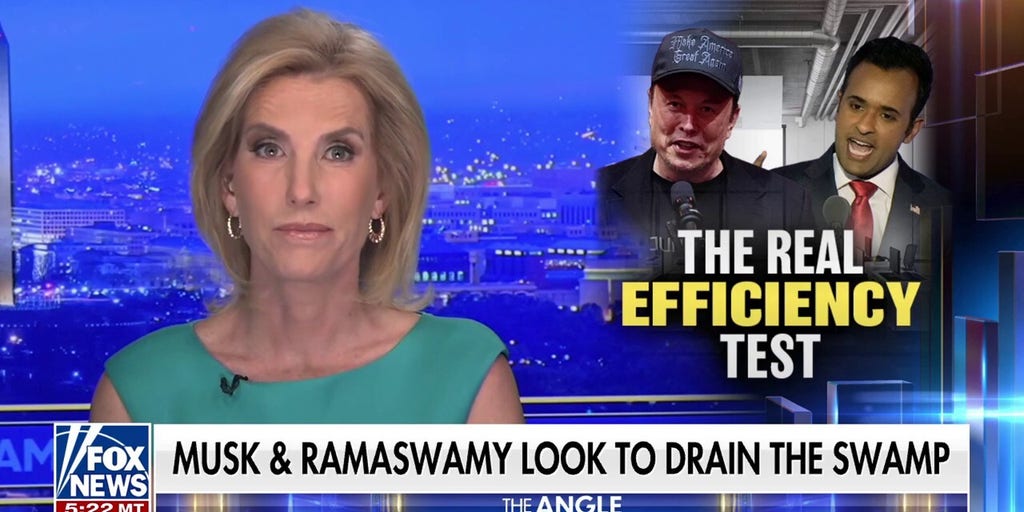 LAURA INGRAHAM: DOGE will show Americans a lot about what a joke DC has become