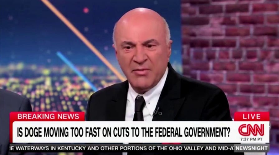 Kevin O'Leary: DOGE is not 'wacking enough' and must cut faster