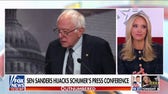 McEnany says the left is 'deeply divided' after Sanders hijacks Schumer's press conference
