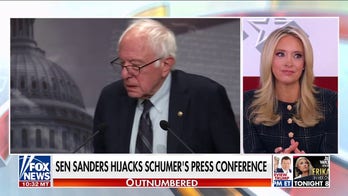 McEnany says the left is 'deeply divided' after Sanders hijacks Schumer's press conference