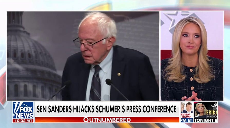 McEnany says the left is 'deeply divided' after Sanders hijacks Schumer's press conference