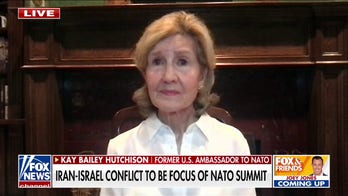 NATO members 'coming around' to Trump's call to 'step up,' former ambassador says