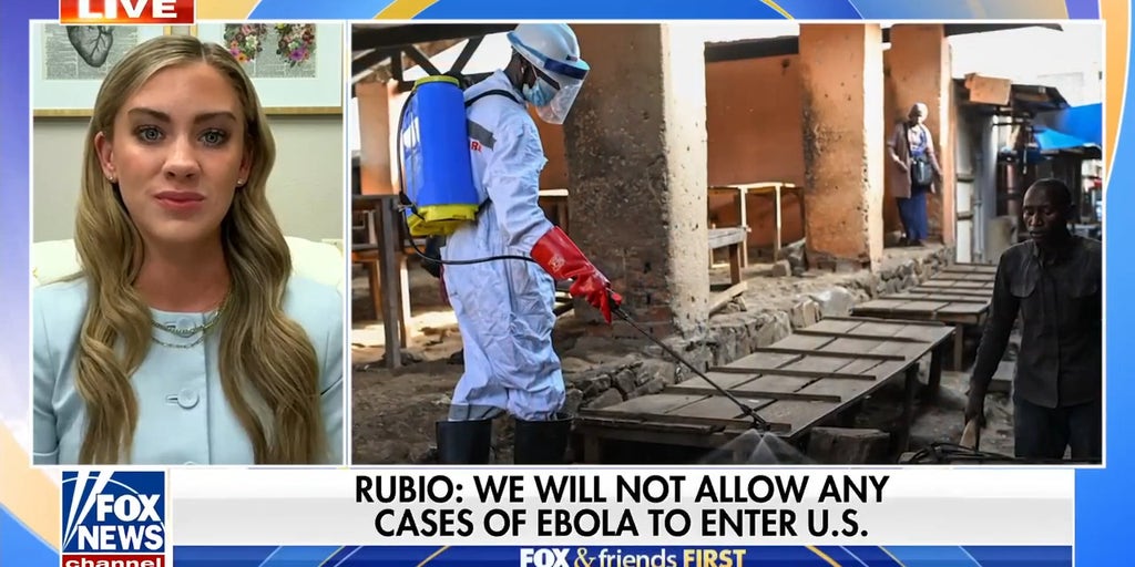 Health officials track Ebola cases in Africa amid warnings of deadliest strain