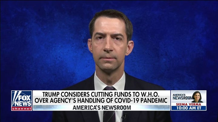 Sen. Tom Cotton calls for investigation into World Health Organization