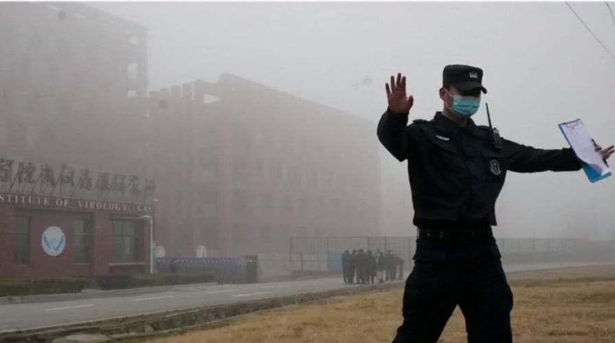 WHO dismisses theory coronavirus leaked from Wuhan lab after visit