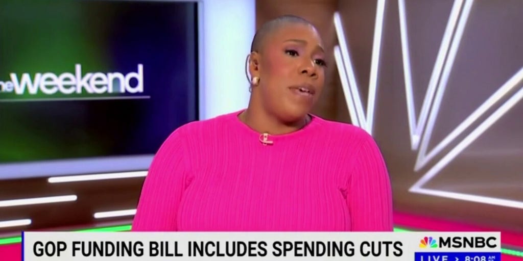 MSNBC panel unloads on Sen. Chuck Schumer over support for GOP spending bill