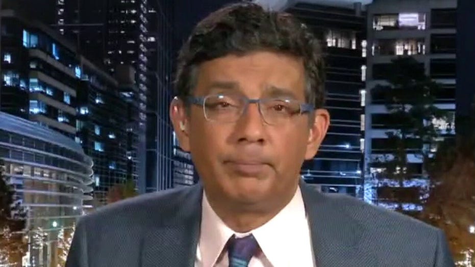 Dinesh D'Souza on why we should defund universities | Fox News