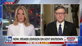 Mike Johnson: Democrats are prolonging the hardship of Americans for political purposes