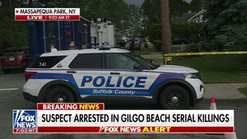 Suspect arrested in infamous Long Island serial killings
