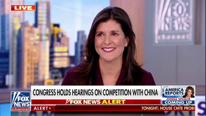 Nikki Haley pushes US to cut off foreign aid to adversaries: 'Can't buy friends'