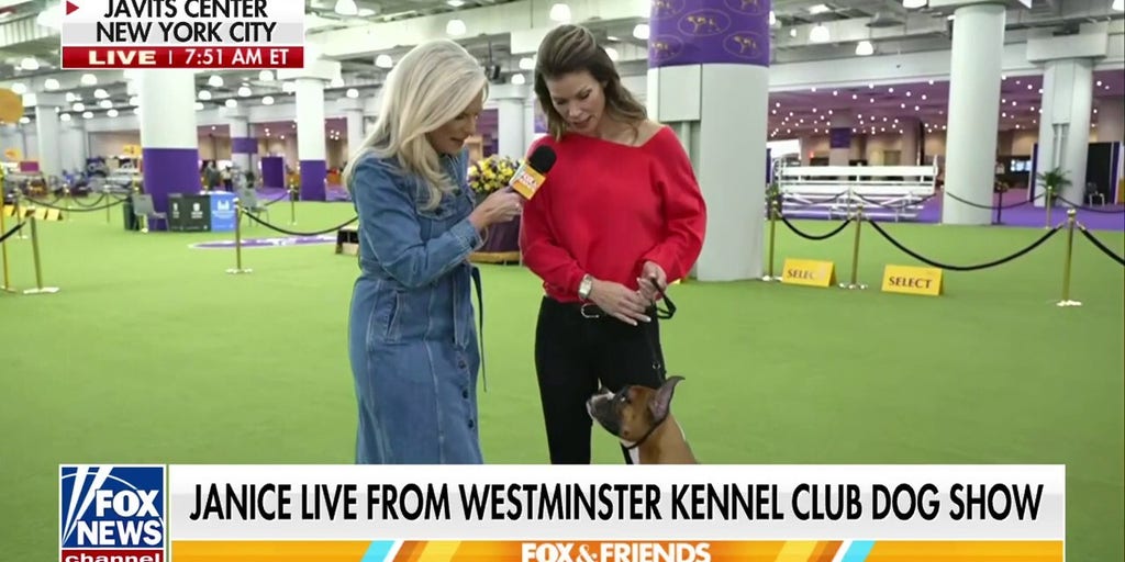 Westminster Kennel Dog Show returns to New York City