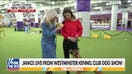 Westminster Kennel Dog Show returns to New York City