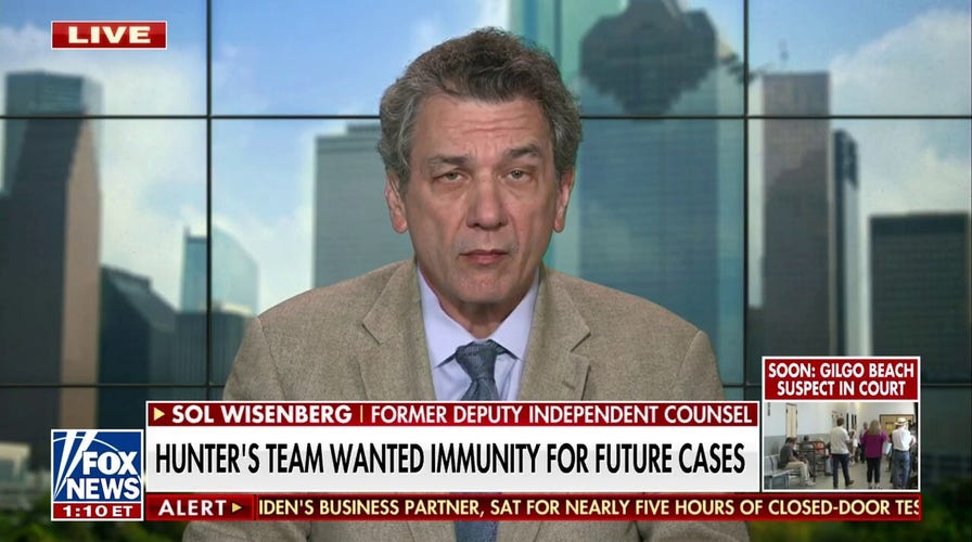 GOP probes 'sweetheart deal' offered to Hunter Biden