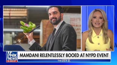‘The Five’: Zohran Mamdani gets a taste of reality