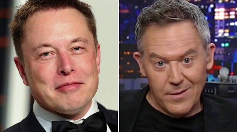 Gutfeld: Elon Musk suspends journalist over 'doxxing' policy