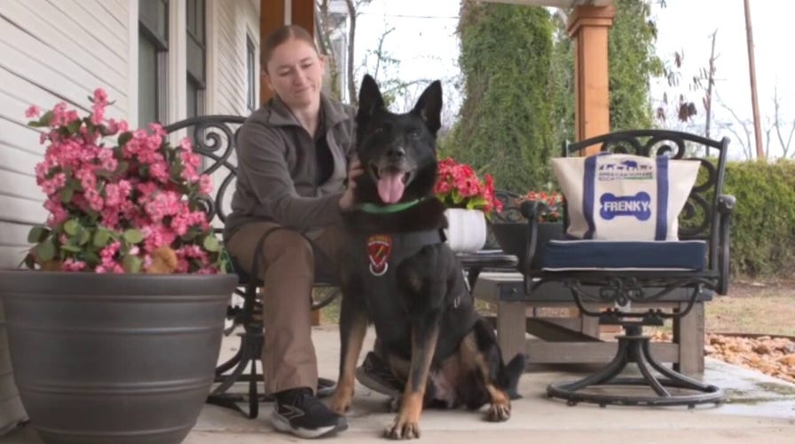 Retired Army K-9 'had a huge impact on my life,' reunited handler says