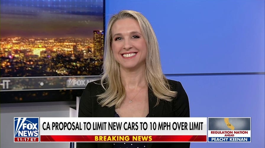 Pretty soon they’ll have a device that won’t let your car leave the garage: Peachy Keenan