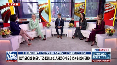 Brooklyn toy store disputes Kelly Clarkson’s $15K bird feud