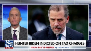 Trey Gowdy: Hunter Biden should be treated no better, no worse and no differently - Fox News