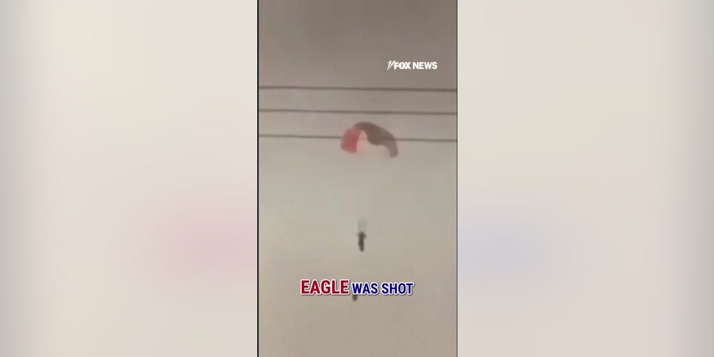 JUST IN: Video shows pilot ejecting after US jets shot down over Kuwait