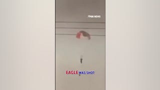 JUST IN: Video shows pilot ejecting after US jets shot down over Kuwait